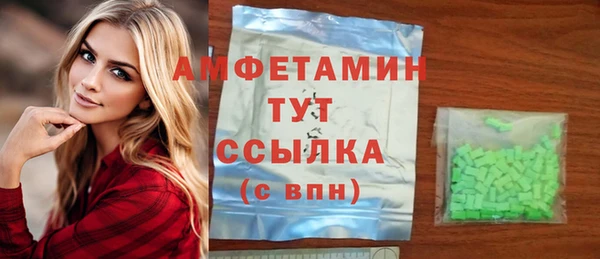 крисы Алексин