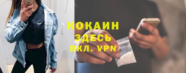 крисы Алексин
