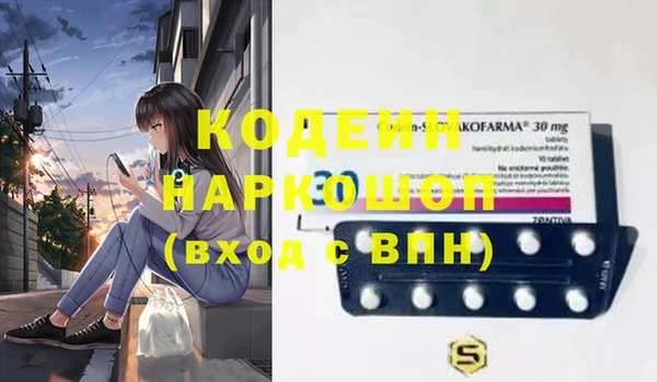 крисы Алексин