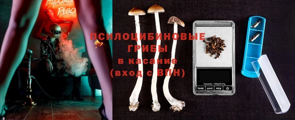 ГАЛЛЮЦИНОГЕННЫЕ ГРИБЫ Алексеевка