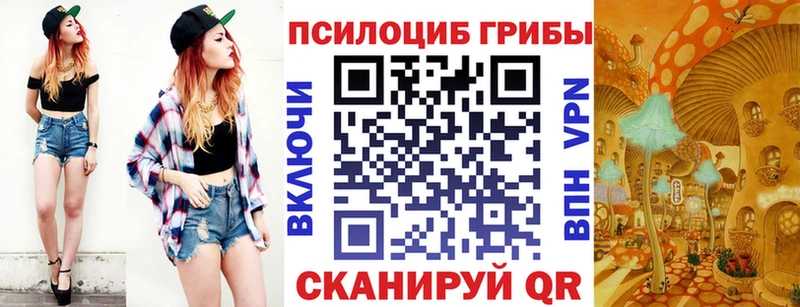 Псилоцибиновые грибы Cubensis  где найти   Енисейск 