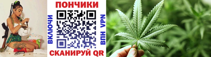 Конопля сатива  Енисейск 